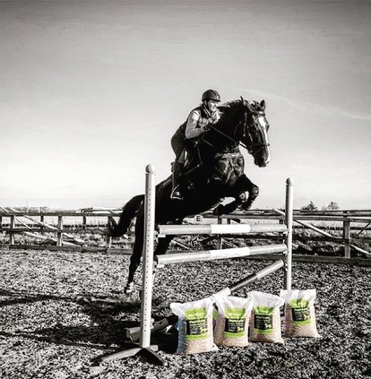 A horse and rider jumping over a hors jump and some BioPellet Solutions bags