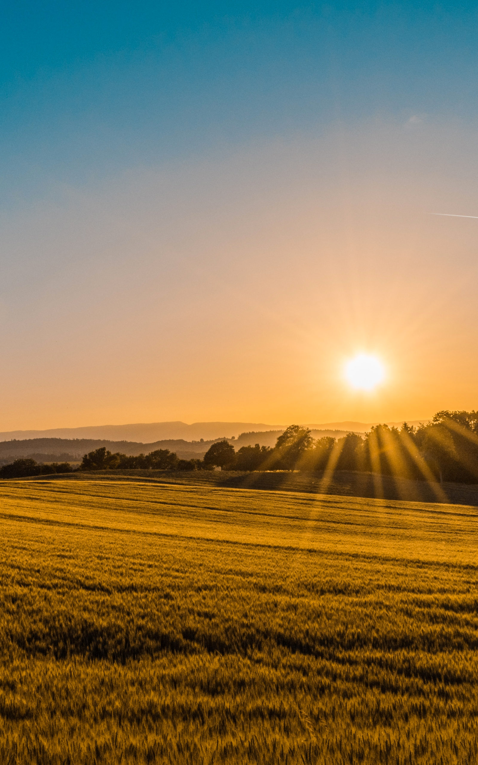 A beautiful sun rise over a field